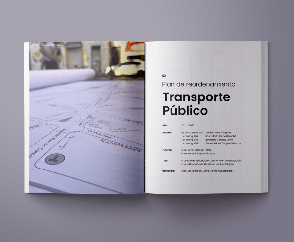 Plan de Reordenamiento de Transporte Público